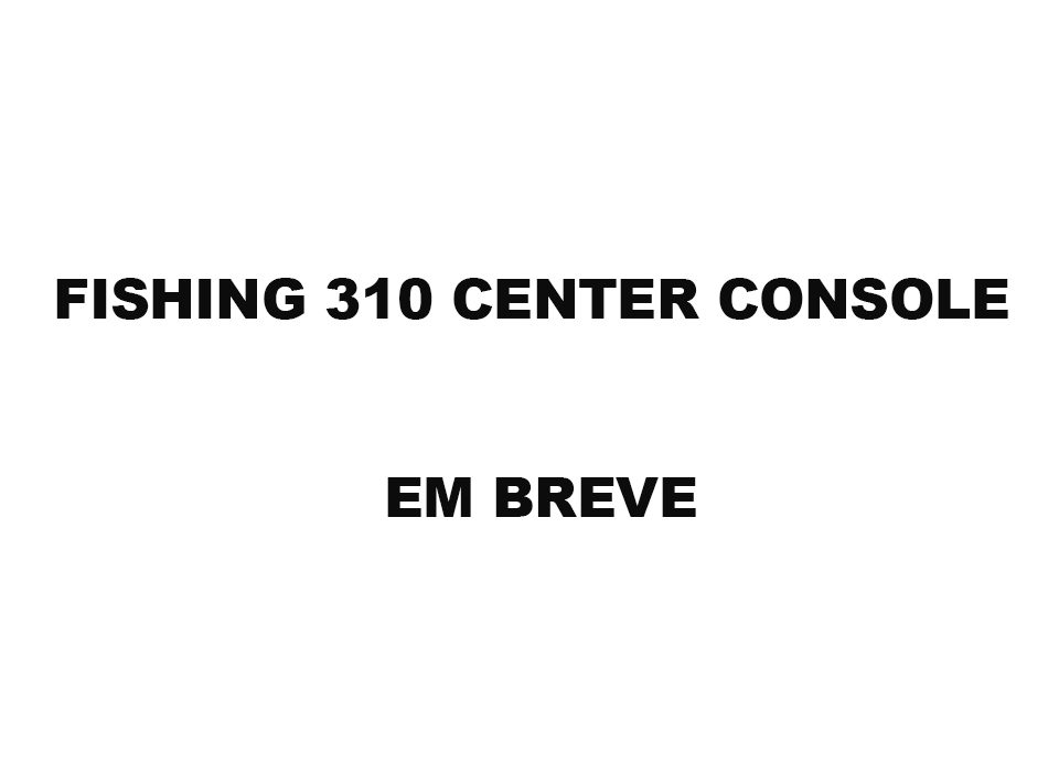 embreve 310 console-1